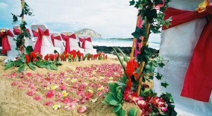 Casamento com tema Havaiano