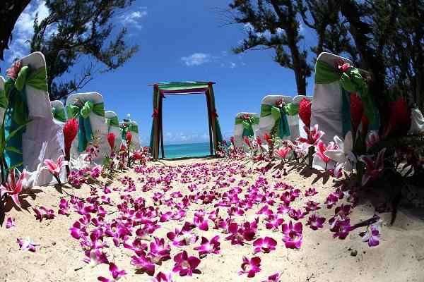 Casamento com tema Havaiano