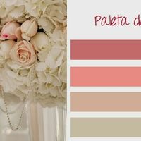 Qual será a cor da decoração? - 1