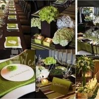 cores para decoração