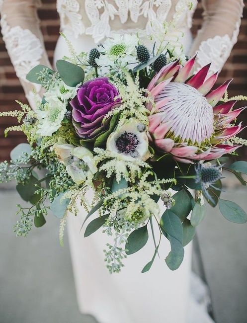 Protea