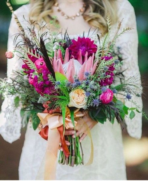 Protea 