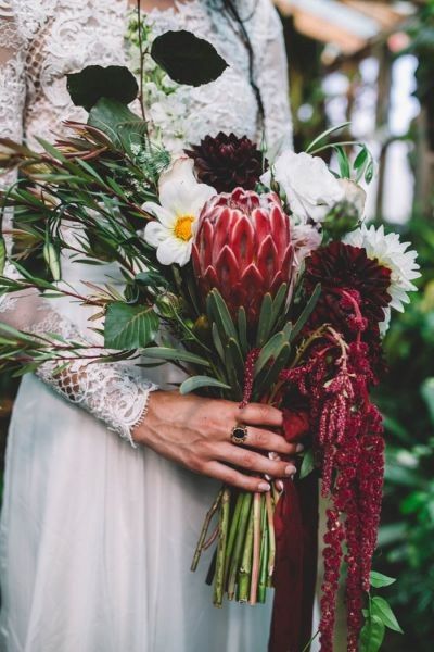 Protea 
