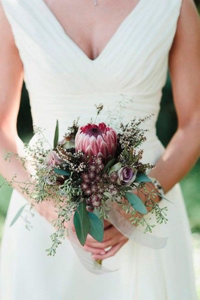Protea 