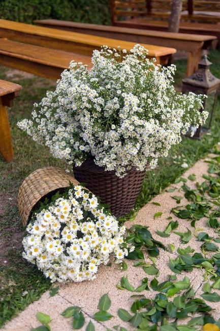 Flores da Decoração - 1