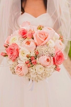 buque rosa 