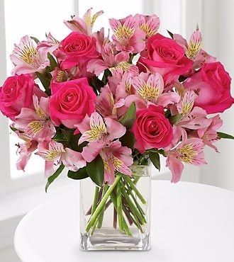 buque rosa 