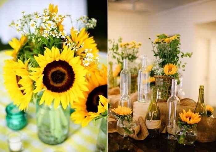 as flores serao