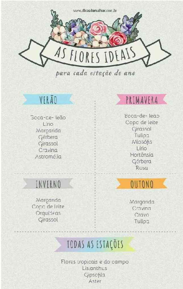 Dicas pra economizar com flores - 1