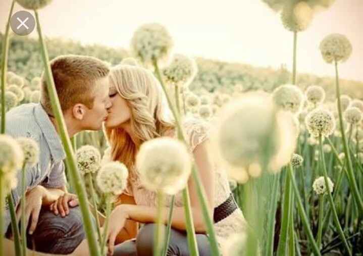 Dica pre wedding fazenda - 4
