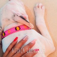 Já conversaram sobre… ter ou não ter pets? - 1
