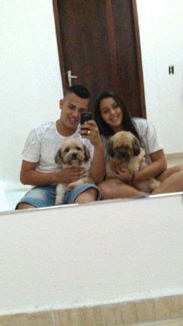 Doguinho/pet - 1