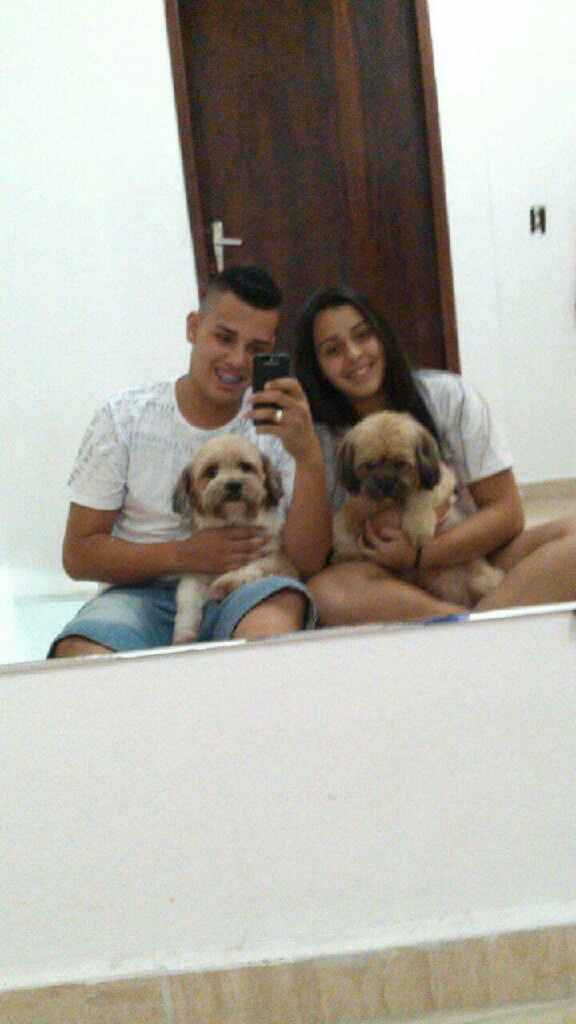 Doguinho/pet - 1
