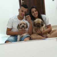 Doguinho/pet - 1