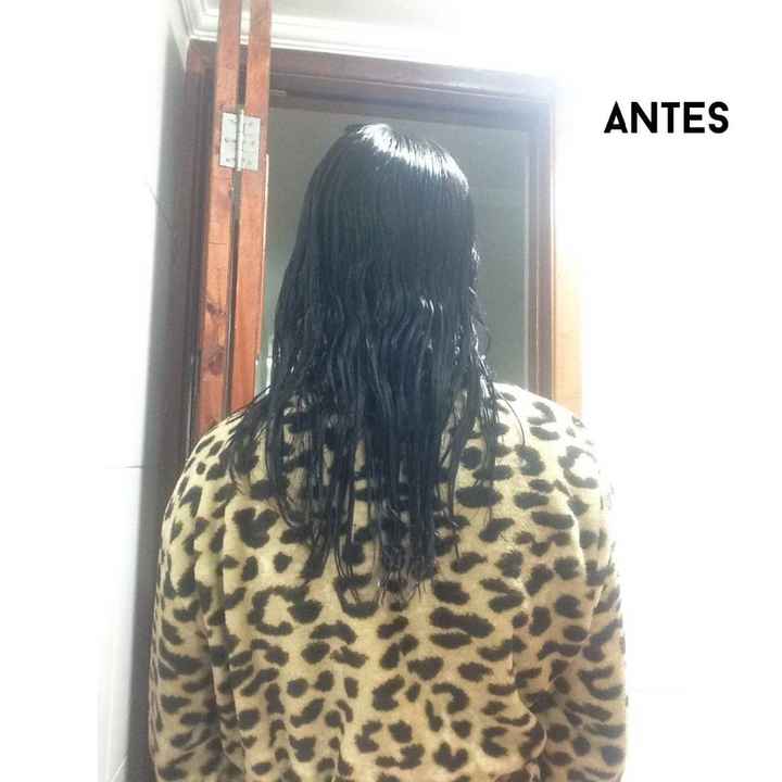 Antes 1