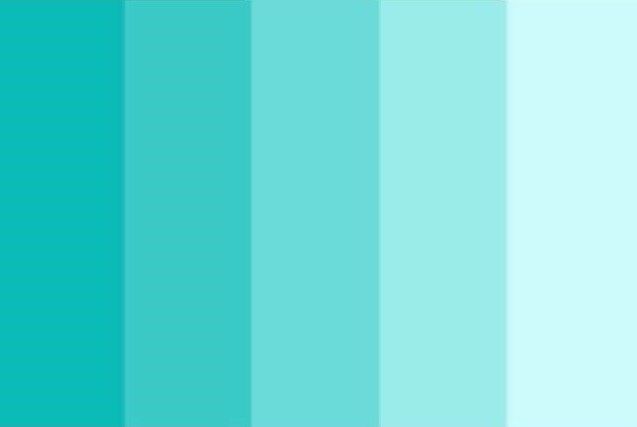 PALETA