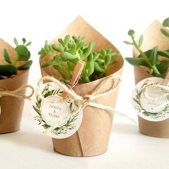 Acho que super combina com o meu estilo de casamento, quero muito dar as suculentas e personalizar- 