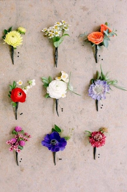 Flores em vida