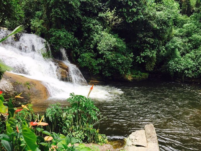 Cachoeira