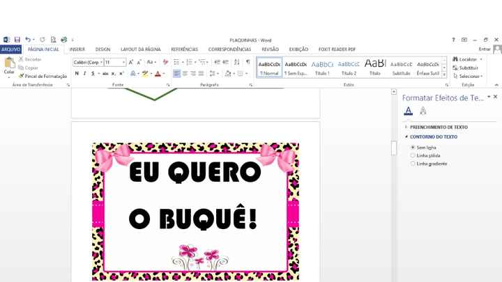 MInhas plaquinhas