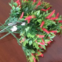 Buque de pimenta - 1