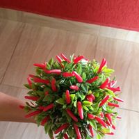 Buque de pimenta - 2