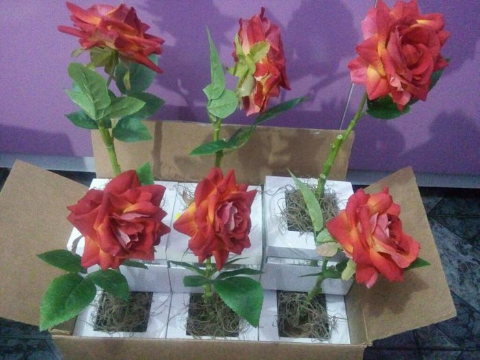 Meus vasinhos para o corredor - 3