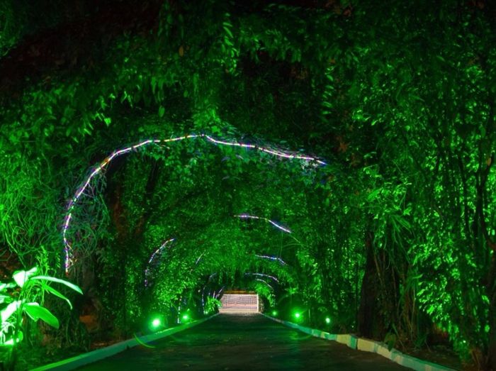 Entrada por onde os carros passam