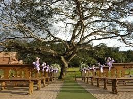 Lugares para pré wedding 15