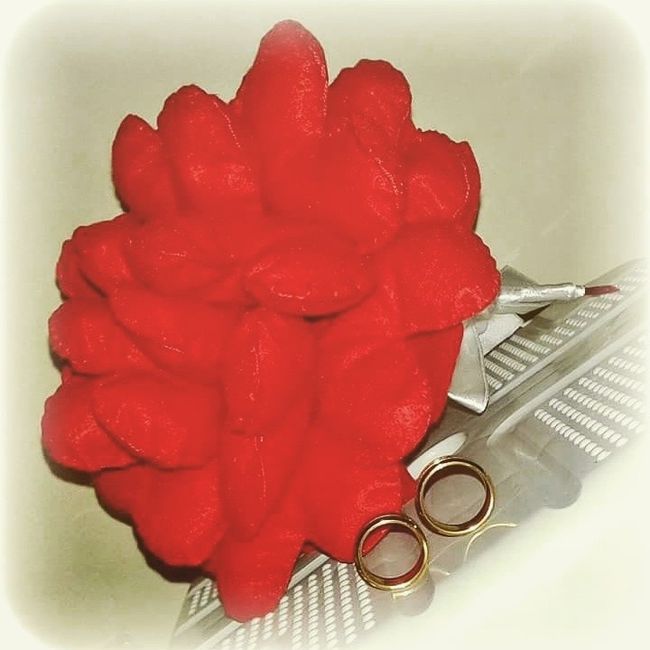 buque de feltro