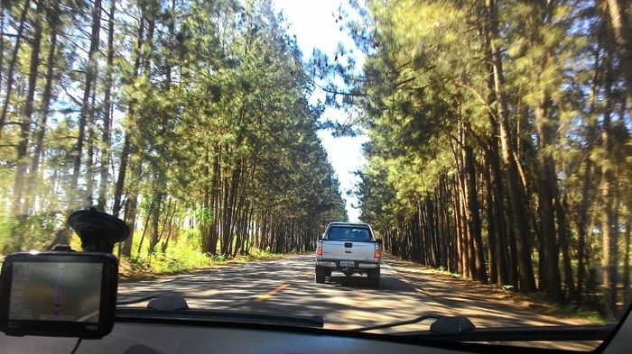 indo embora