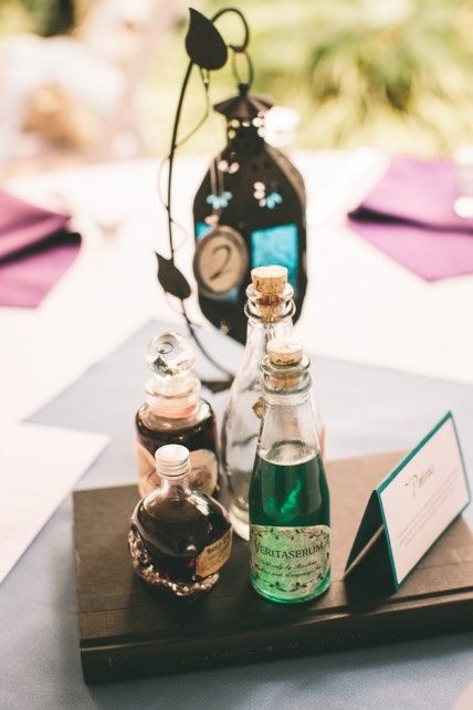 casamento harry potter
