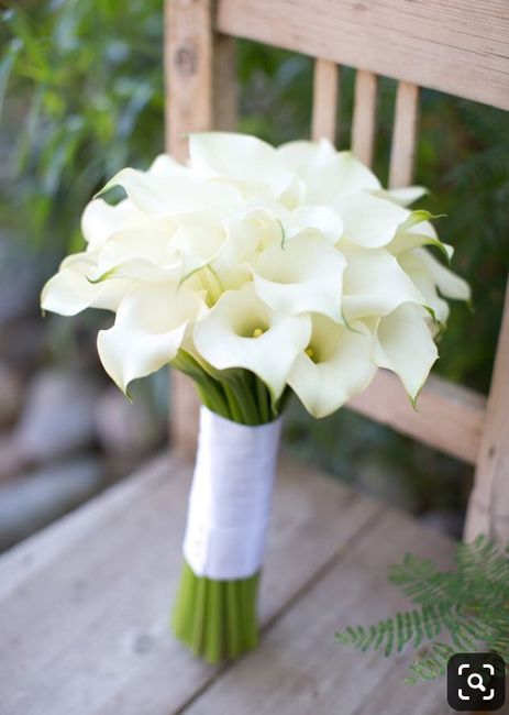 Tons de cores para o casamento 2
