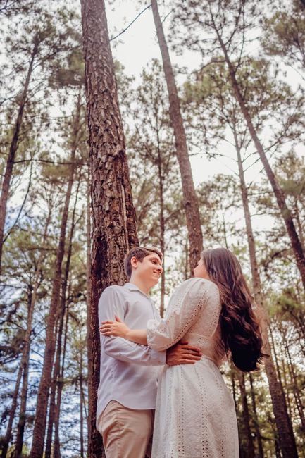 Pré-wedding Floresta do Lobo  (udia/mg) 10