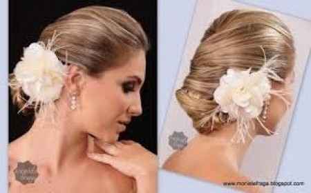 coque 8