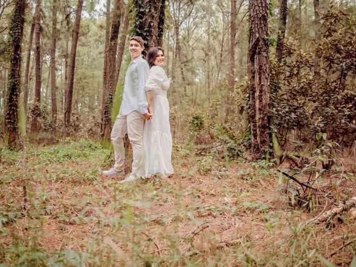 Pré-wedding Floresta do Lobo  (udia/mg) - 13