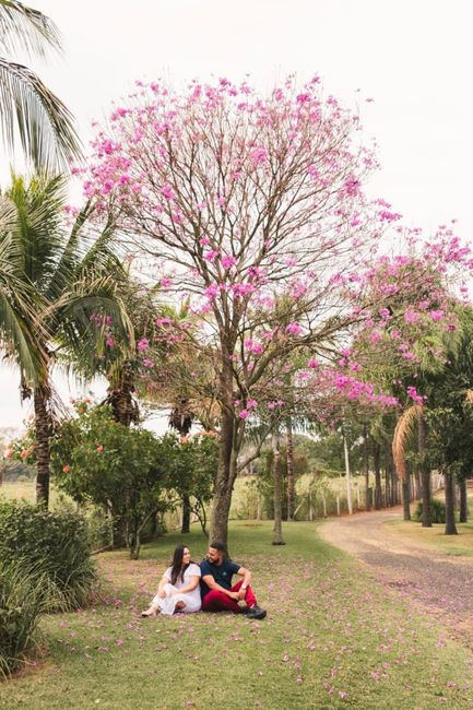 Meu Pré wedding. - 3