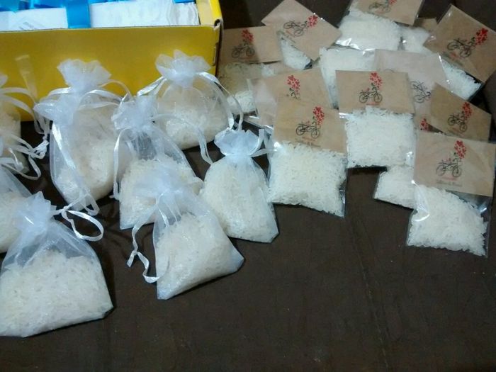 Chuva de arroz e lágrimas de alegria- a saga - 3
