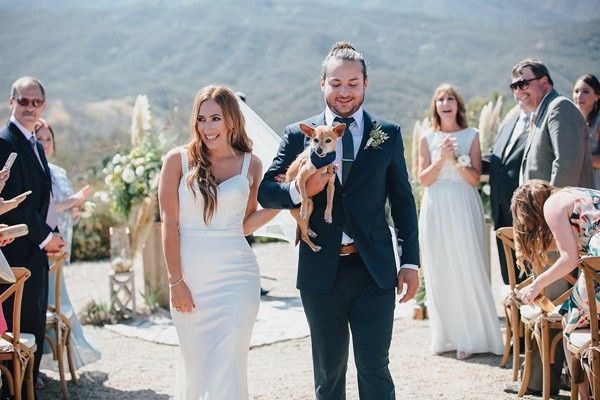 Fim da cerimônia e o casal saiu acompanhado do mascote da família, o cachorrinho Joey
