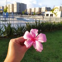 Reforma Concluída ✅ - 2