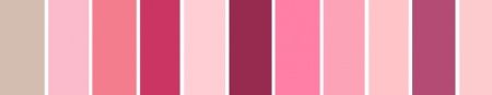 paletaaa Rosa