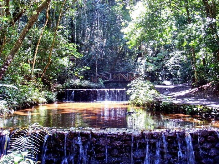 Parque das Mangabeiras