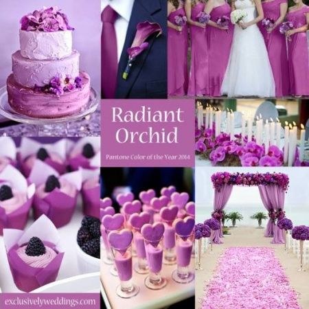 Lilas ou Rosa