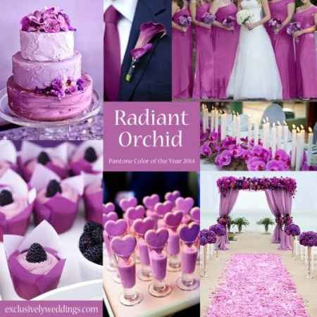 Lilas ou Rosa