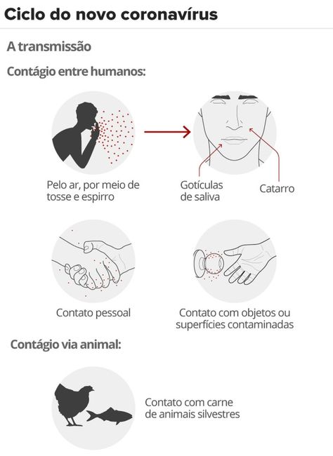 Principais Informações sobre o Covid-19 (coronavirus) 1