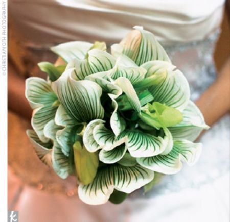 Bouquet 