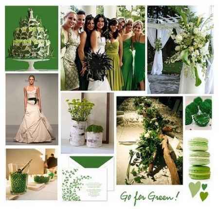 tudo verde e Branco 