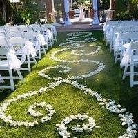 Esses novos estilos que se desenham com petalas