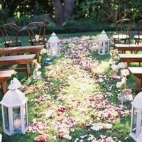 Pétalas pelo caminho!