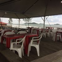  Pista de Dança Casamento 🎩👰🏼💃🏼 - 2